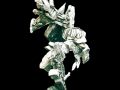 samurai samurai